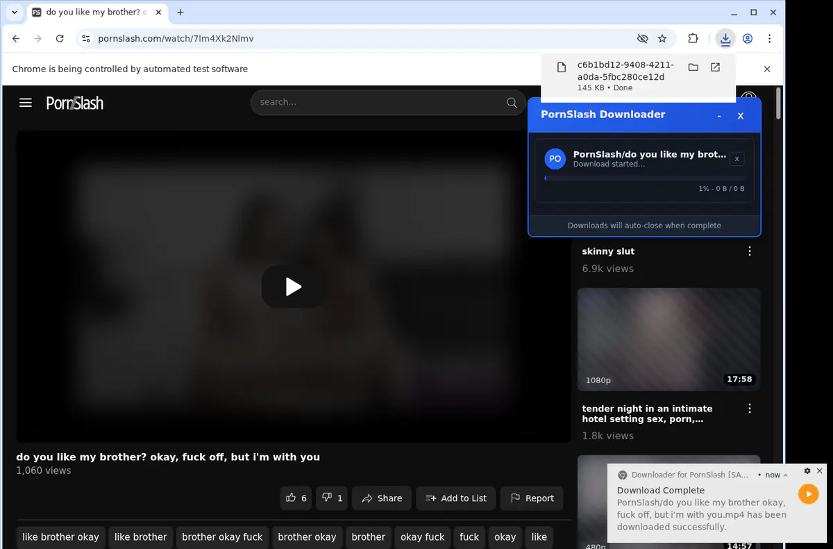 Pornslash Video Downloader screenshot 2