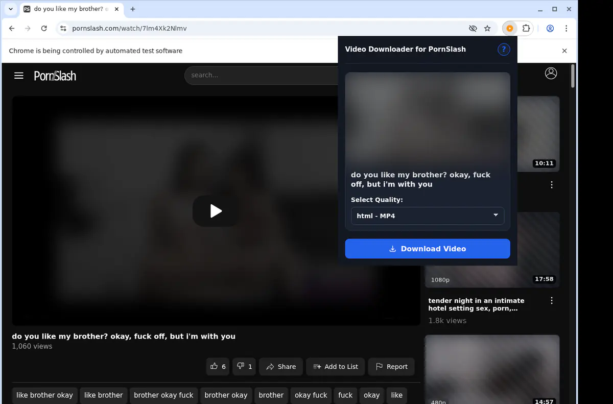 Pornslash Video Downloader screenshot 3